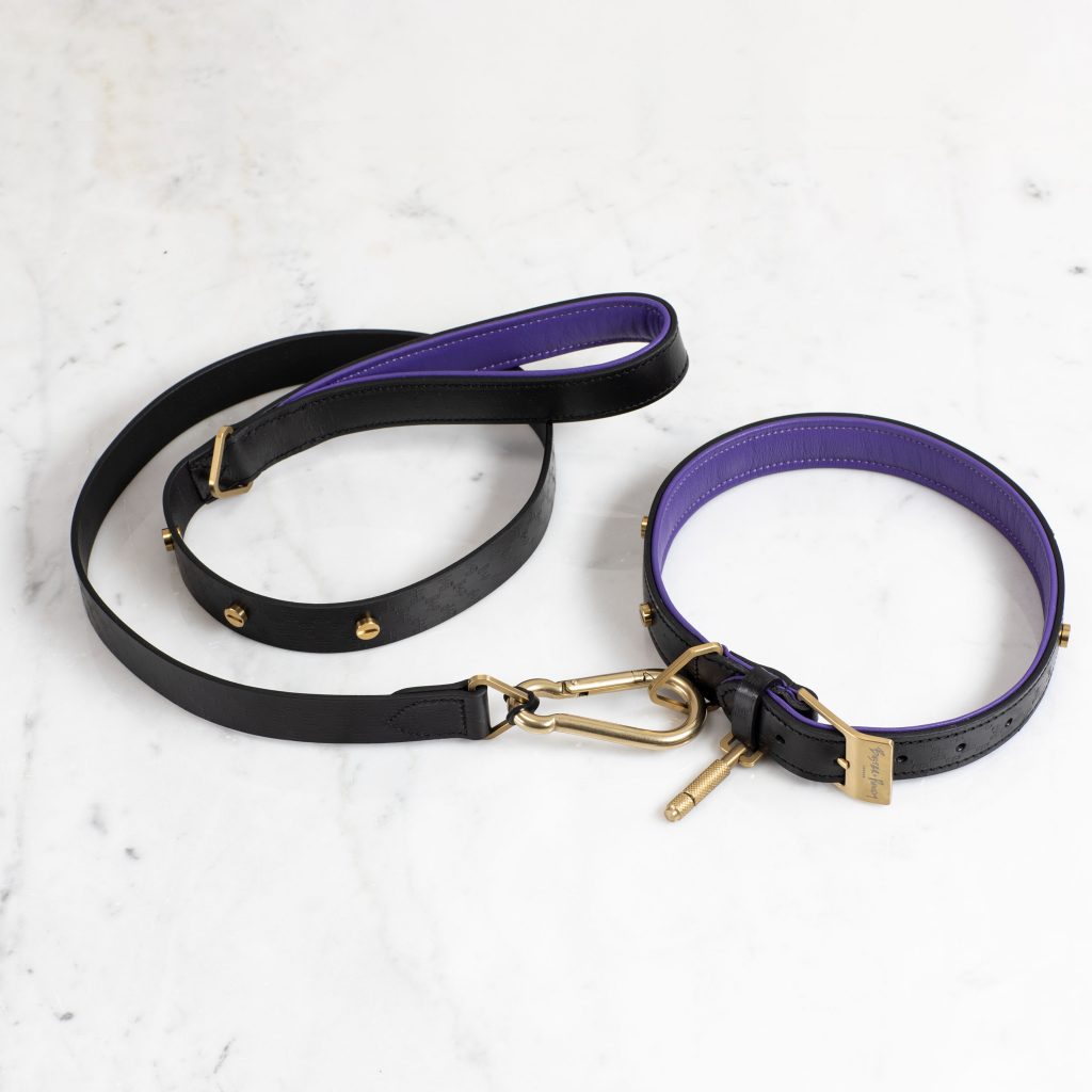 Buster and Punch Dog Collar and Lead Brass