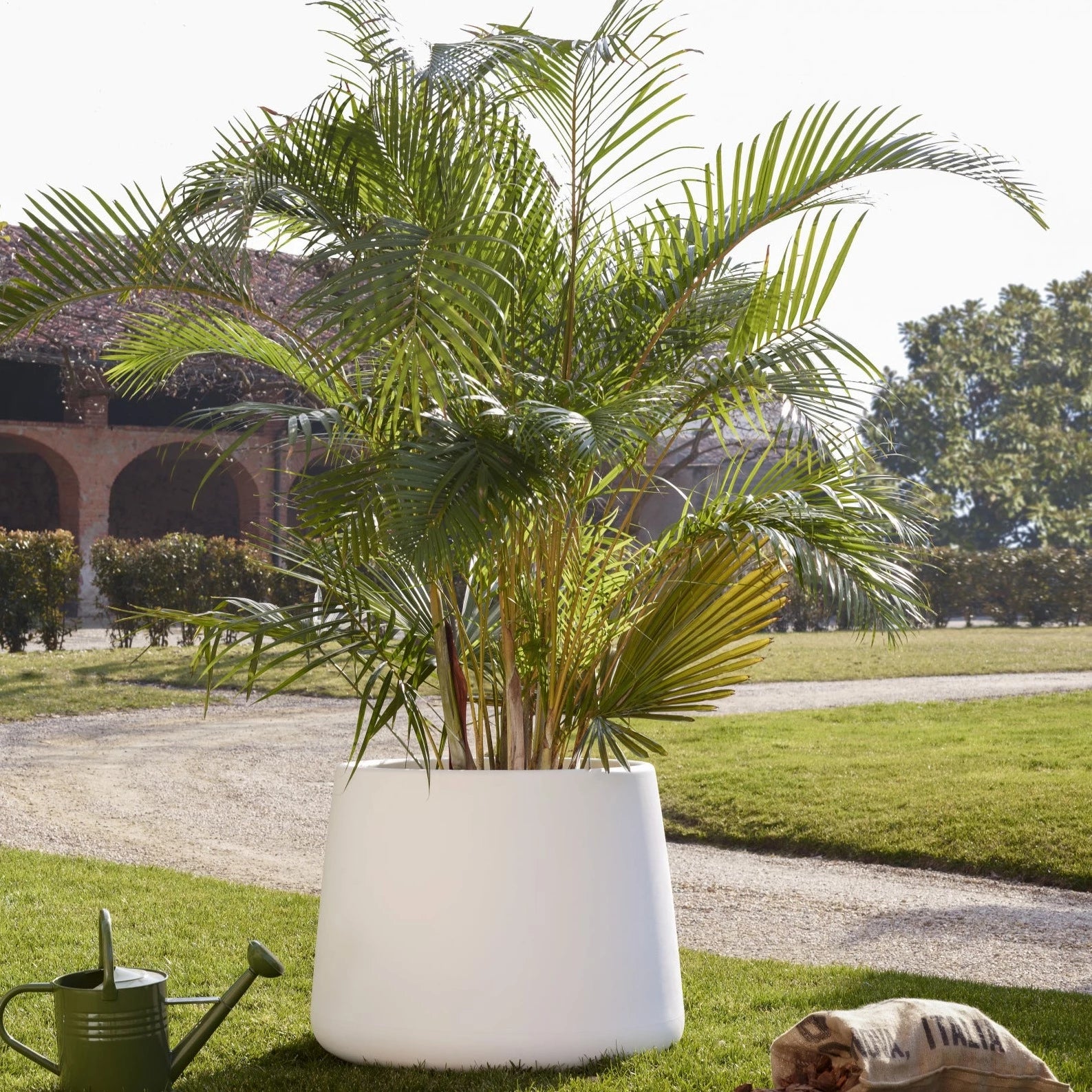 Magis Tubby Plant Pot by Marc Newson