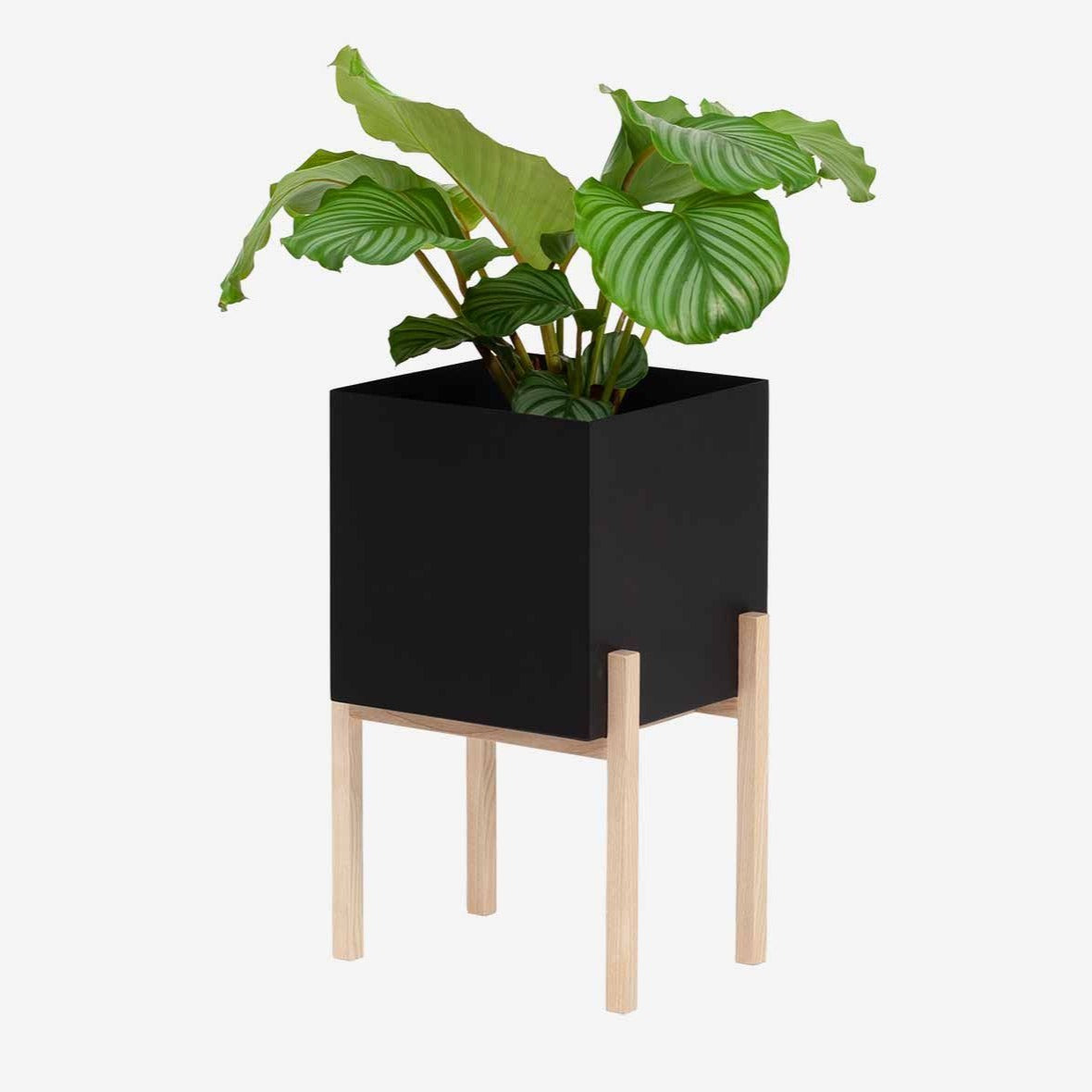 Design House Stockholm Botanic Planter Pedestal
