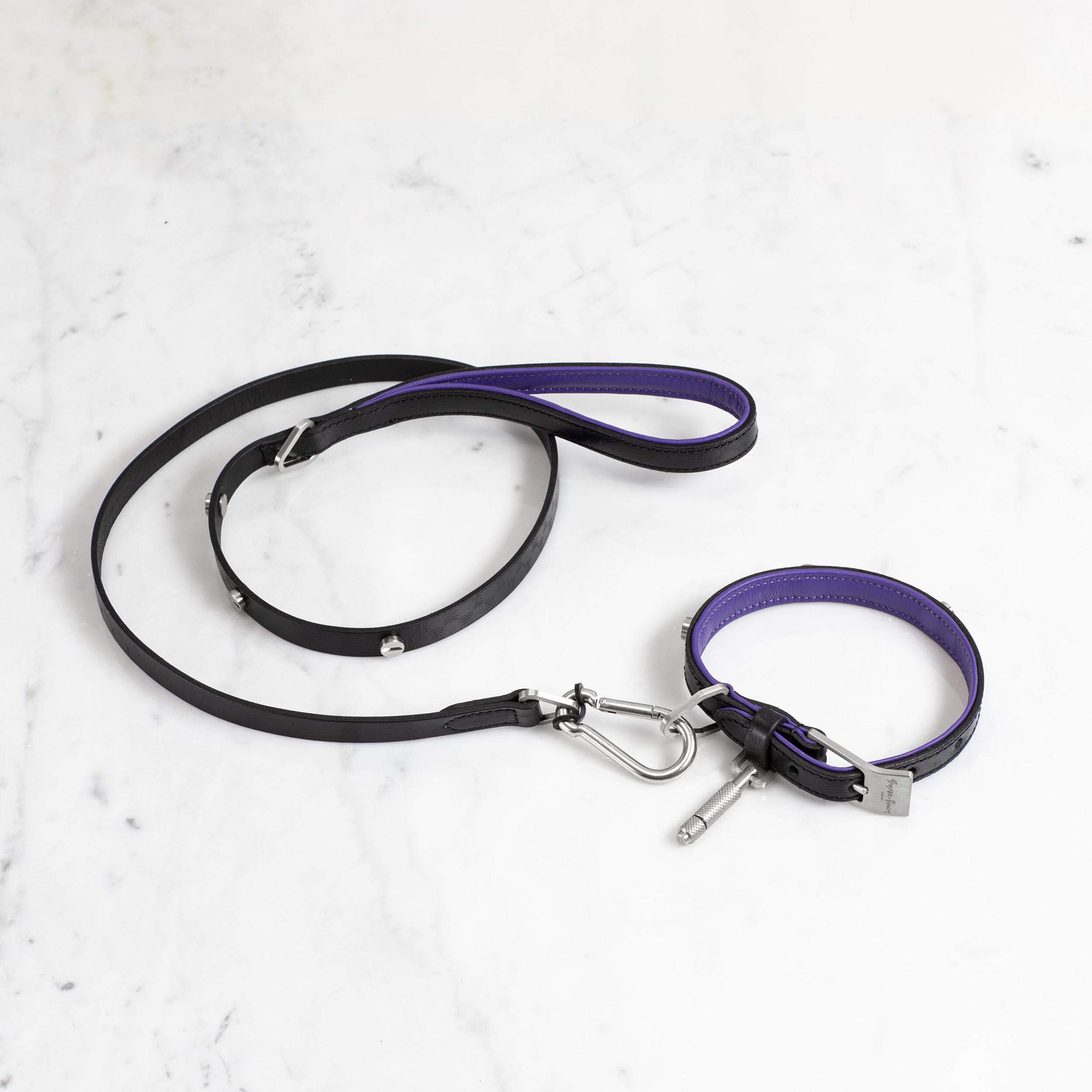Buster and Punch Dog Collar and Lead Steel