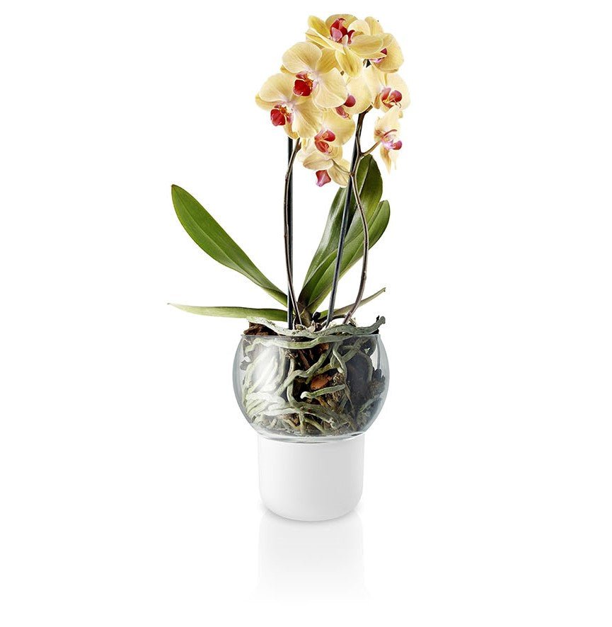 Eva Solo Flower Pot 15cm Self Watering Orchid | Panik Design
