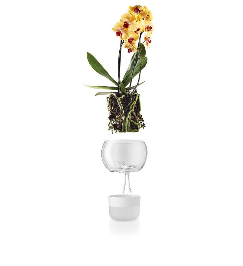 Eva Solo Flower Pot 15cm Self Watering Orchid | Panik Design