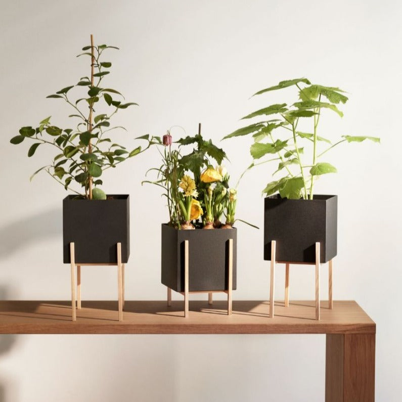 Design House Stockholm Botanic Planter Pot