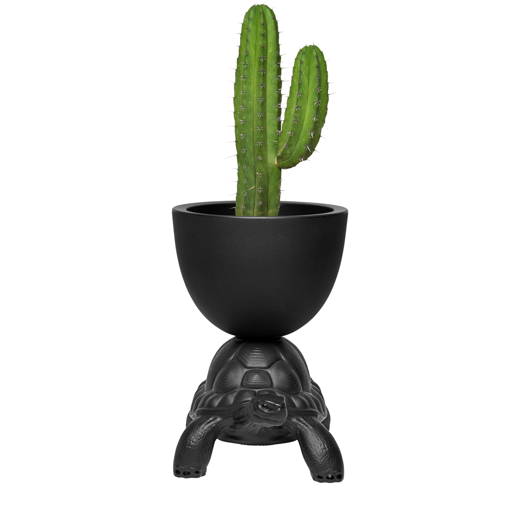 Qeeboo TURTLE Carry Planter & Champagne Cooler