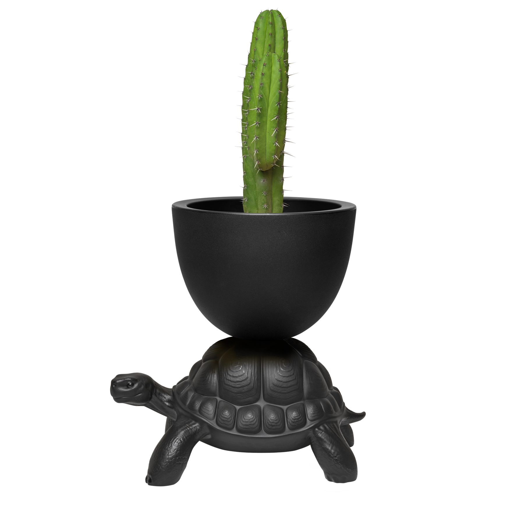 Qeeboo TURTLE Carry Planter & Champagne Cooler