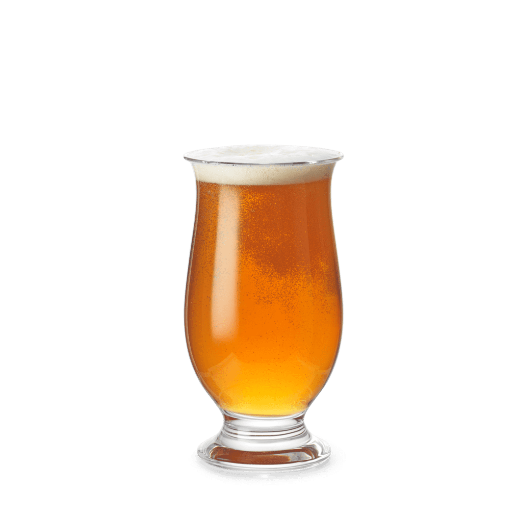 Holmegaard Beer Glass 25cl IDEELLE