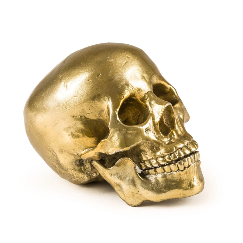 Seletti Wunderkammer Culture Skulture Human Skull