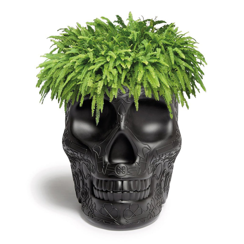 Qeeboo Mexico Skull Planter Champagne Cooler