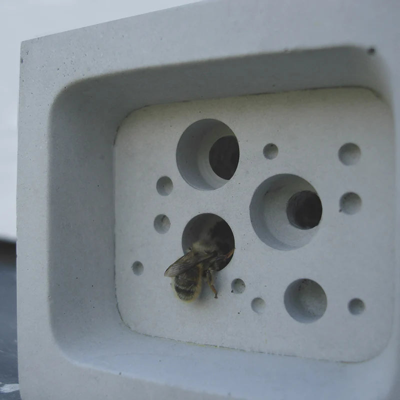 Green and Blue Small Bee Nesting Block