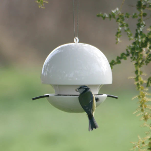 Green and Blue Hanging Seed Birdball