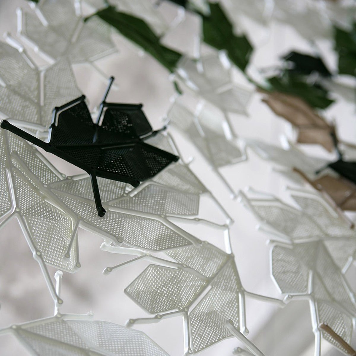 Casamania Maria Decorative Leaf 42pcs Set | Panik Design