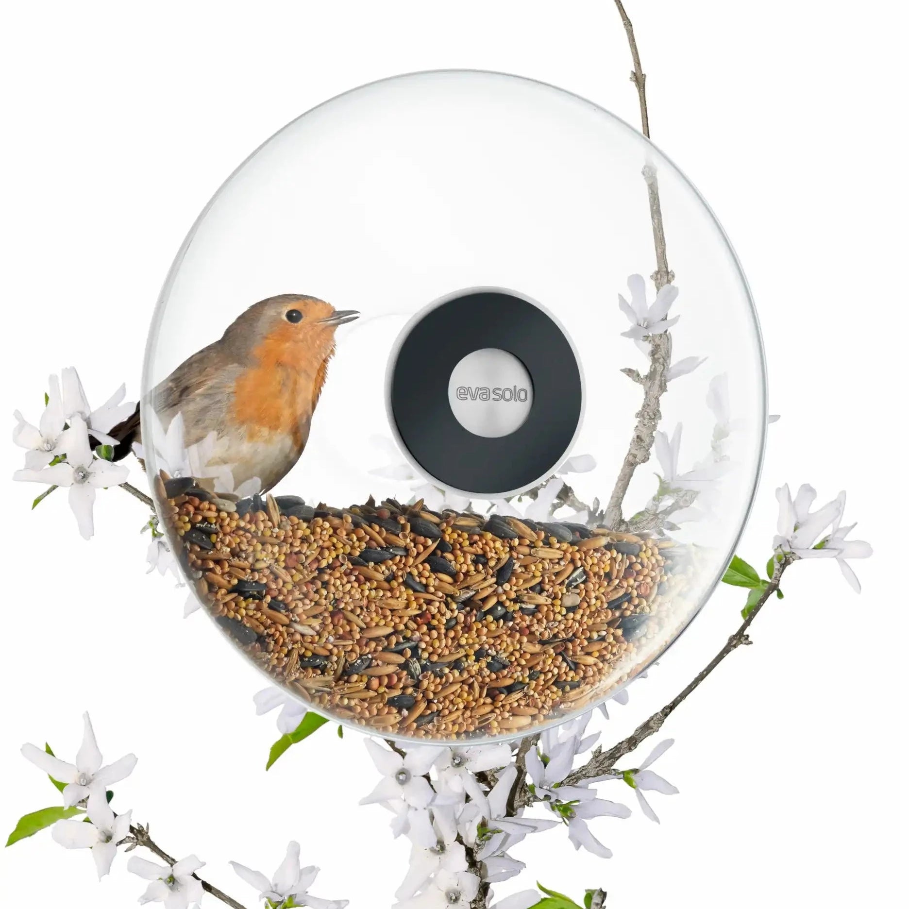 Eva Solo Bird Feeder Window Attached | Panik Design
