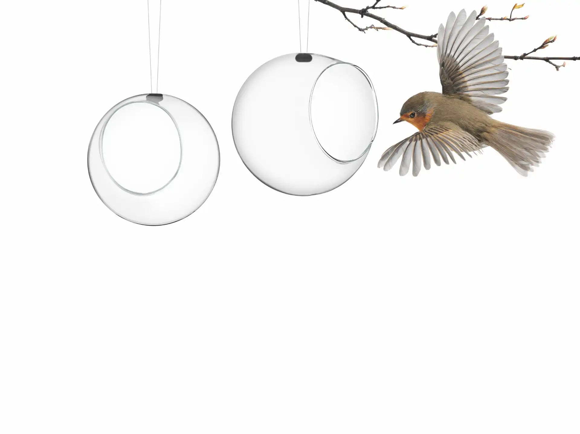 Eva Solo Bird Feeders Mini Glass 2pcs | Panik Design