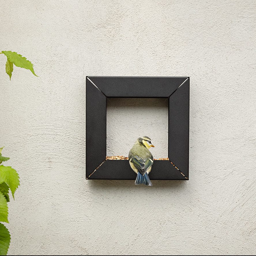 Eva Solo Frame Birdfeeder | Panik Design