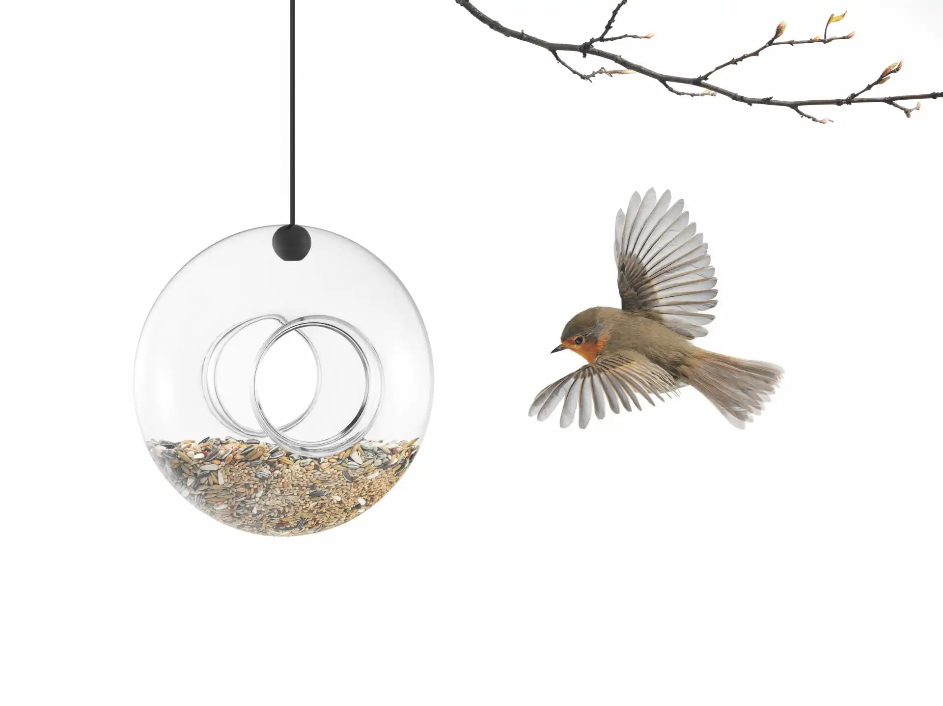 Eva Solo Glass Bird Feeder | Panik Design