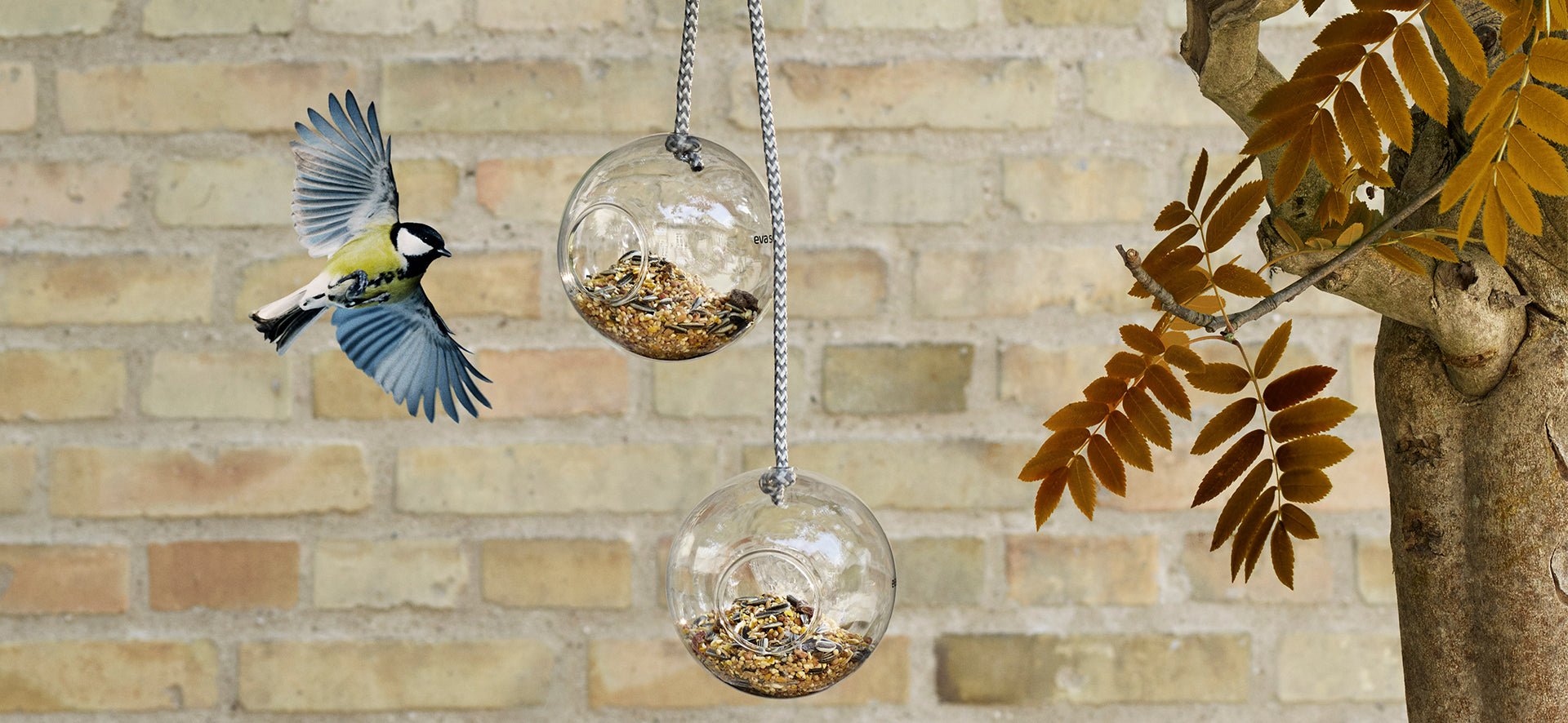 Eva Solo Hanging Glass Bird Feeders | Panik Design