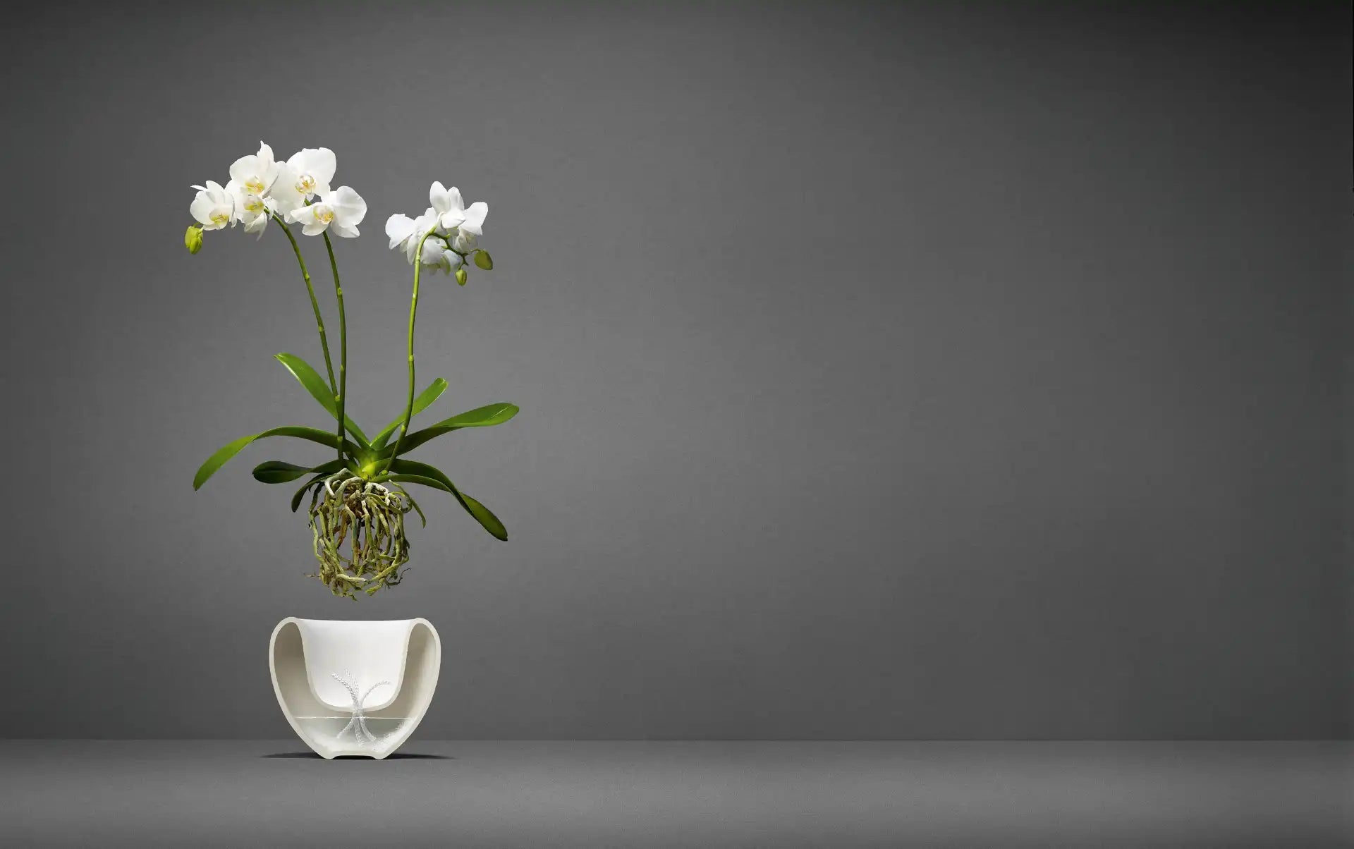 Eva Solo Orchid Pot White | Panik Design