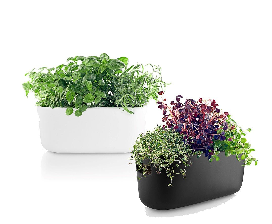 Eva Solo Self-Watering Herb Organiser Pot | Panik Design