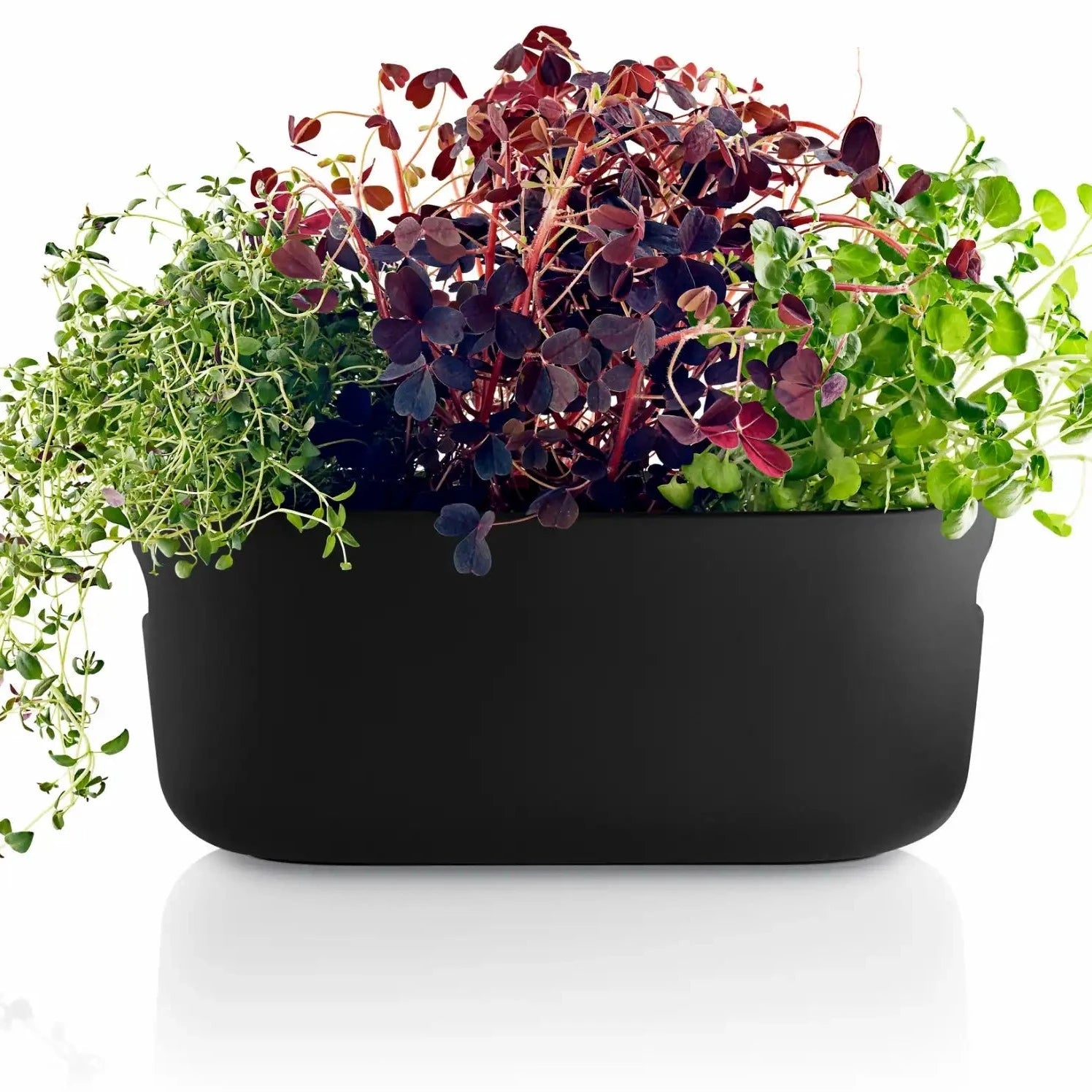 Eva Solo Self-Watering Herb Organiser Pot | Panik Design