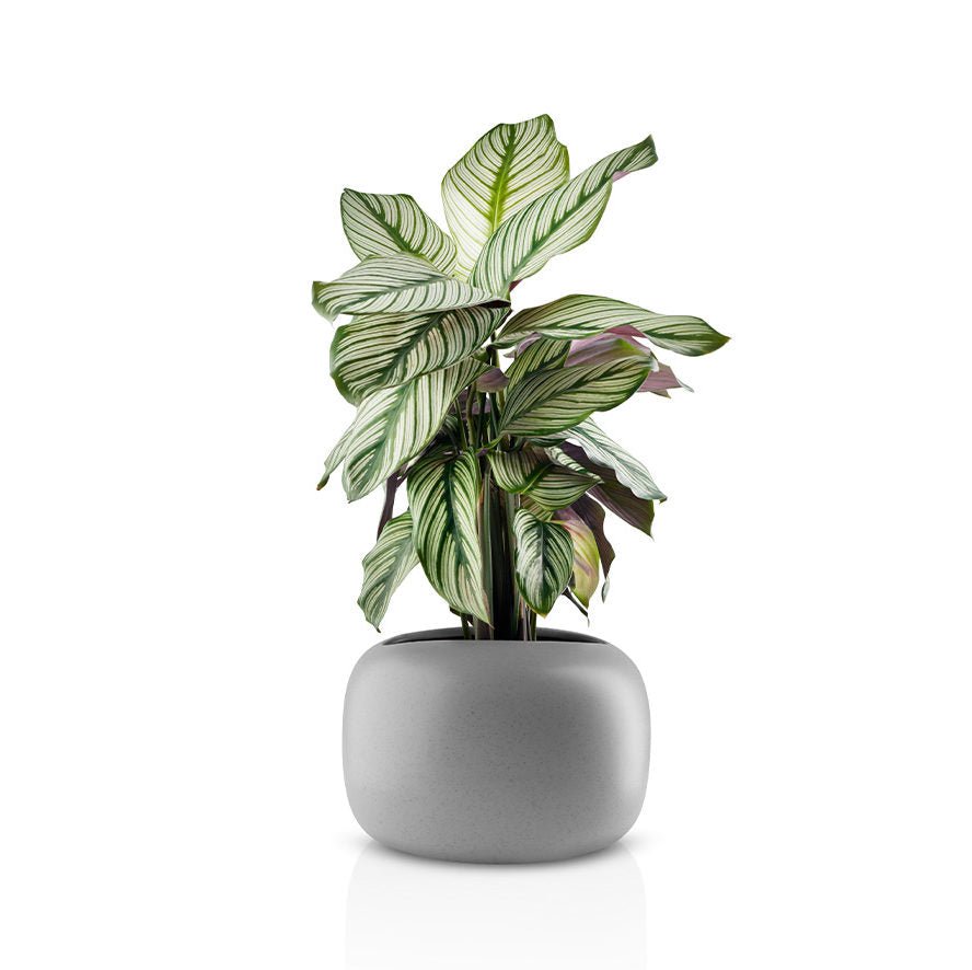 Eva Solo Stone Flowerpot | Panik Design