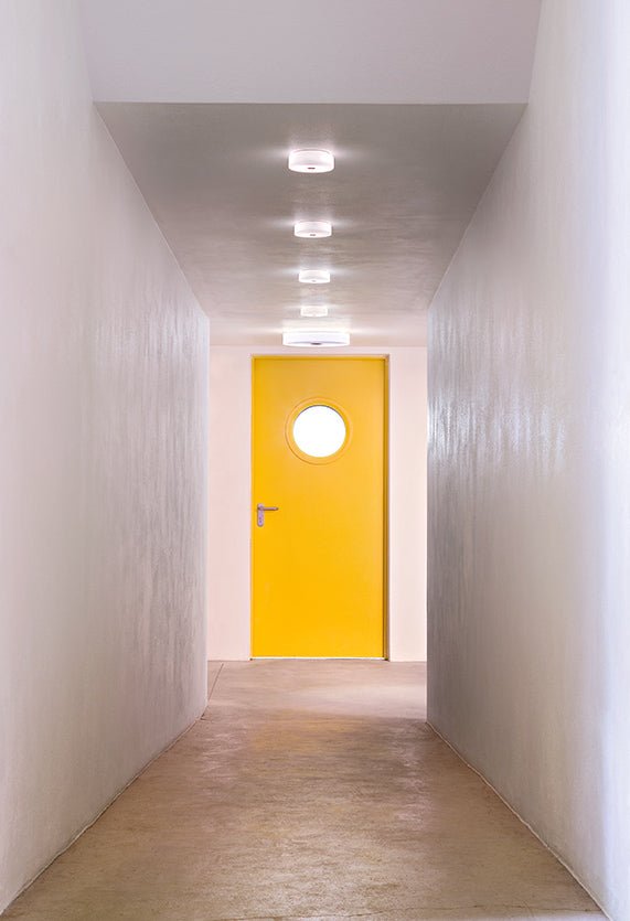Flos Mini Button Wall Ceiling Light | Panik Design
