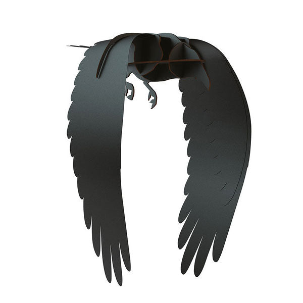 ibride - Karl Flying Raven