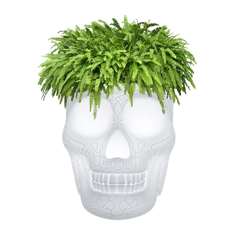 Qeeboo Mexico Skull Planter Champagne Cooler LED Light