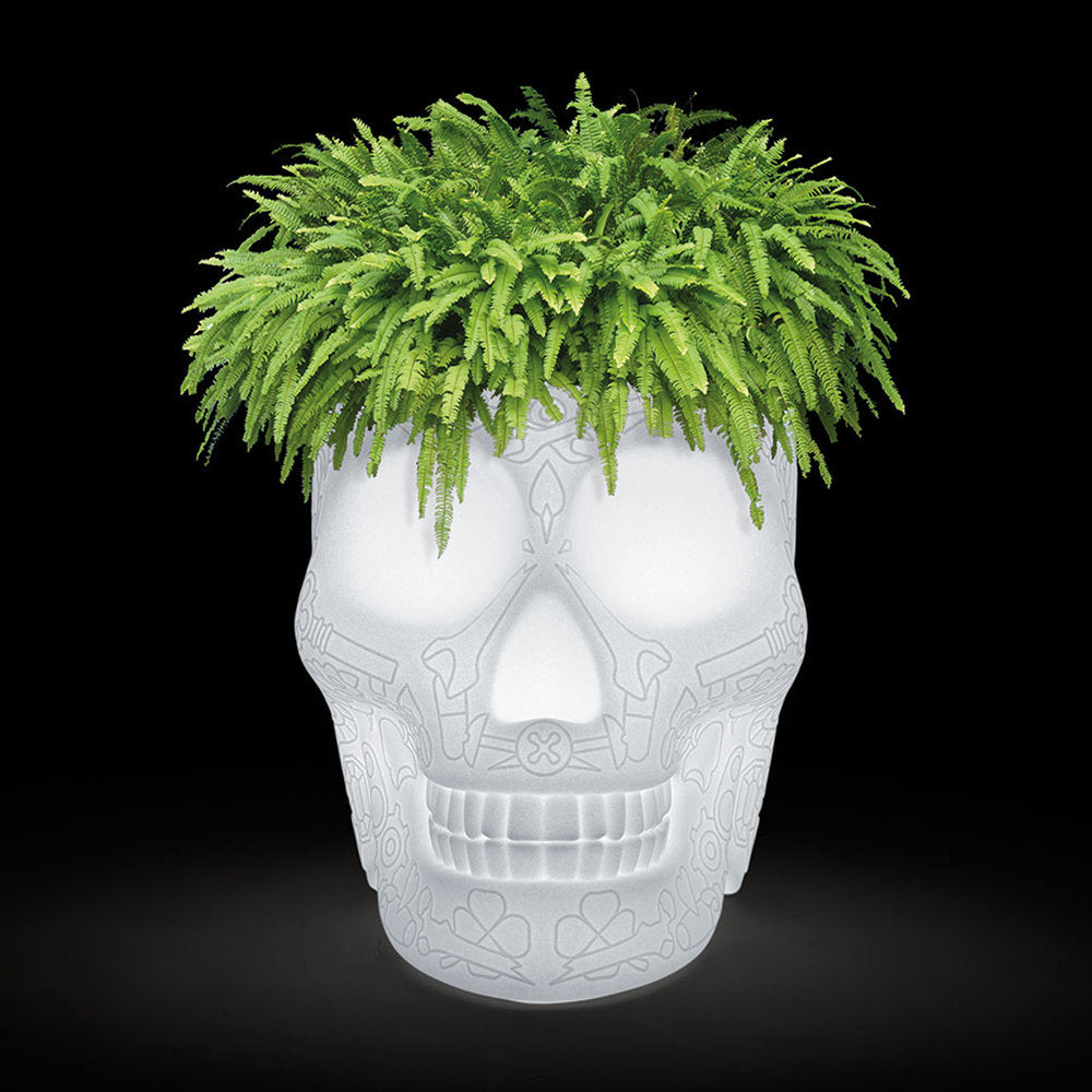 Qeeboo MEXICO LED Skull Planter